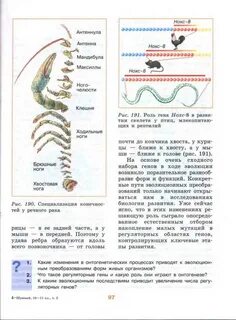К каким последствиям приводит увеличение