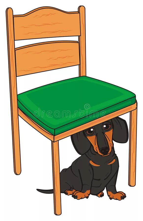 It s on the chair. Собака под стулом. Щенок под стулом. Собака под столом. Кошка под стулом.