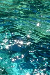 Водные цвета
