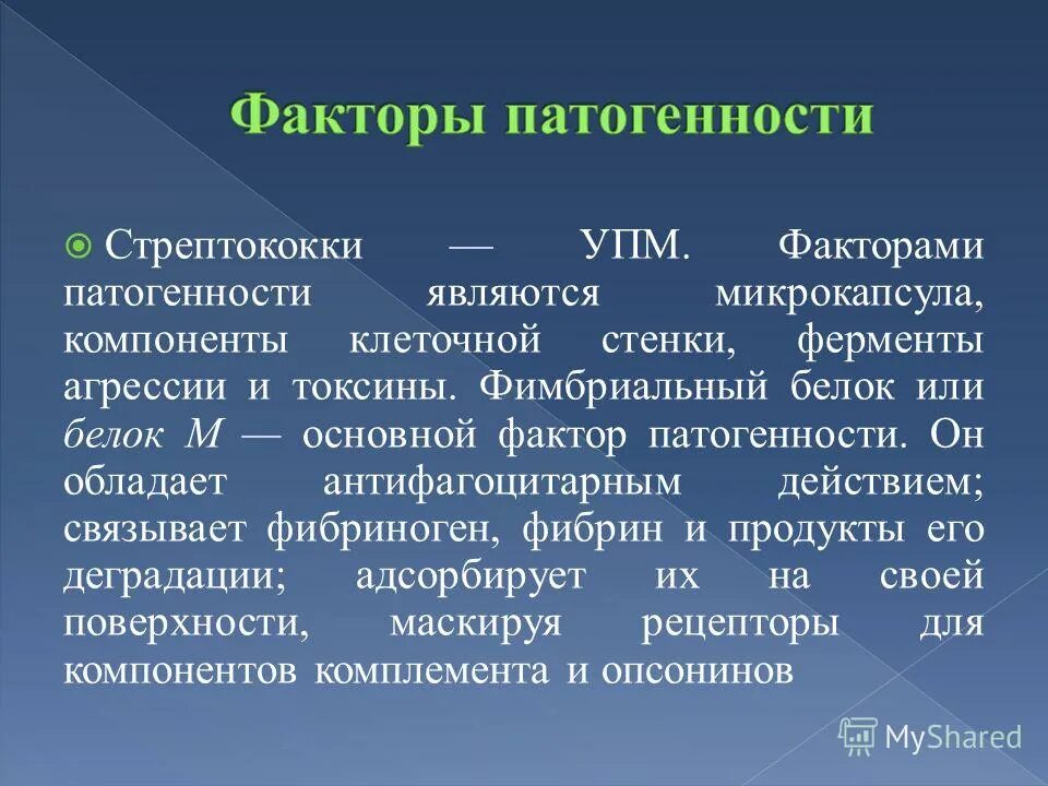 факторы патогенности б гемолитического стрептококка. ферменты патогенности стрептококков. характеристика антигенной стрептококков. факторы патогенности стрептококков. Streptococcus pyogenes факторы патогенности.