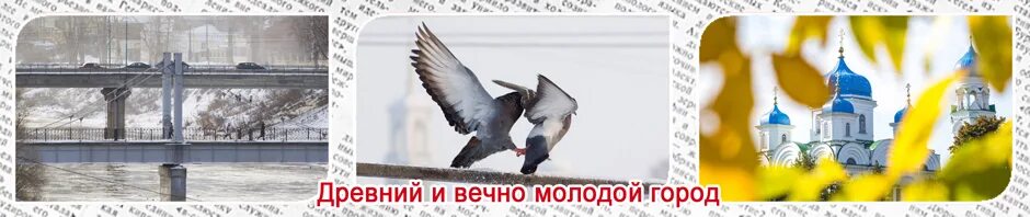Газеты торжка. Газеты торжка. Губернские ведомости газета. Новоторжский вестник. Торжокский вестник газета.