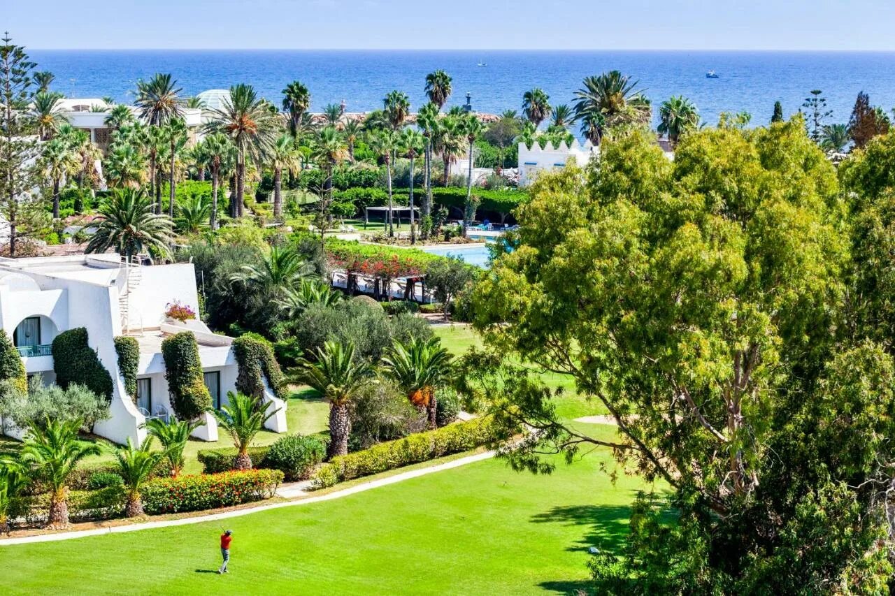 Тур в тунис 2024. Тунис тур 2023. Хаммамет тунис. Тур в тунис 2024. Курорт сиди-бу-саид.