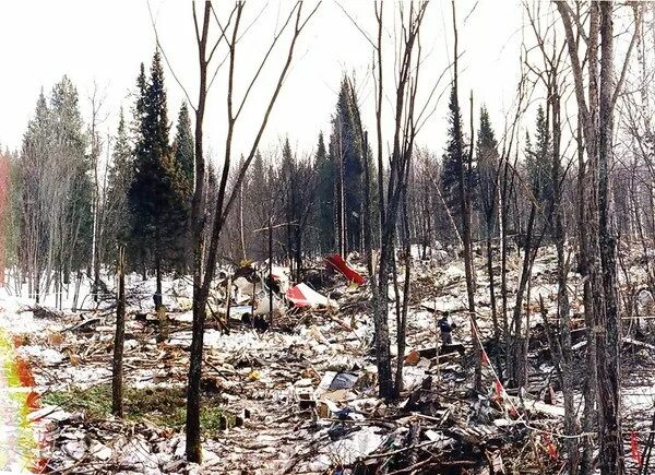 Авиакатастрофа междуреченск 1994. Аэробус 310 катастрофа Междуреченск. Катастрофа а-310 Междуреченск. Катастрофа а310 под Междуреченском 1994.