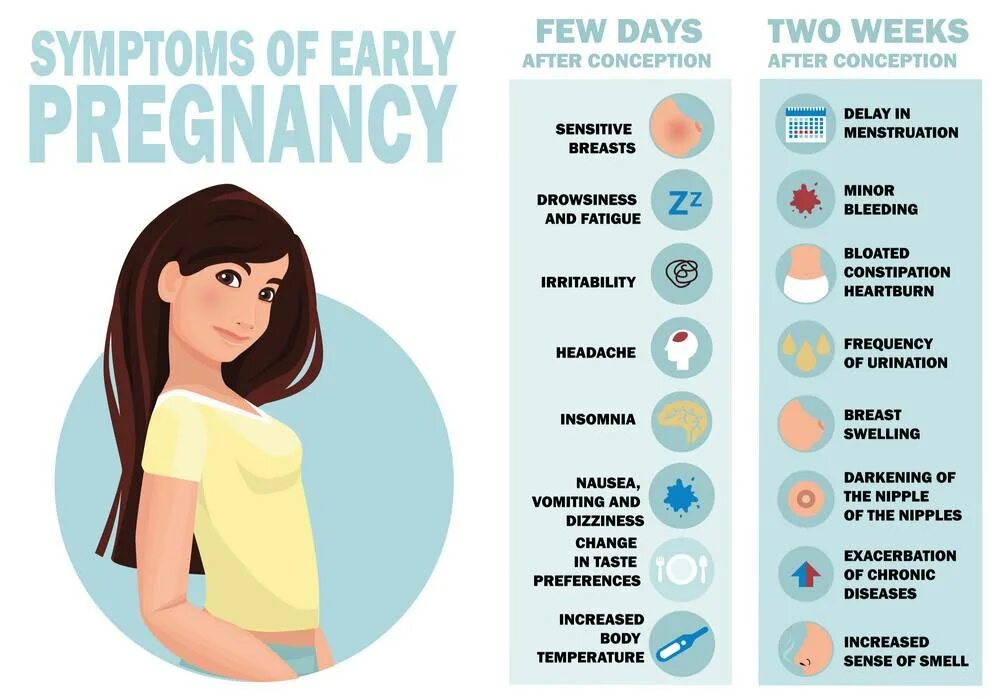 Первые симптомы беременности. Признаки беременности. Беременность на ранних сроках. 1 Признаки беременности.