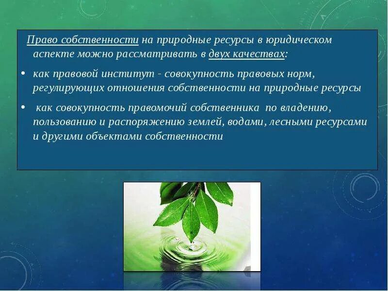 Право собственности на природные ресурсы являются. Понятие собственности на природные ресурсы. Право собственности природных ресурсов. Собственность на природные объекты.