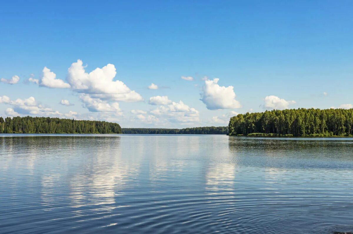 Вода воды десногорское водохранилище. Водохранилище Десногорск. Десногорск озеро. Озеро Десногорское водохранилище.