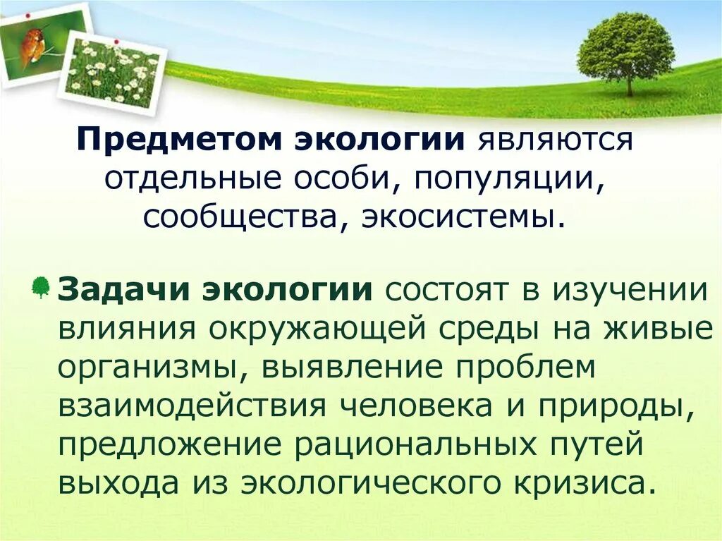 Какие экологии. Тема для презентации по экологии. Научные задачи экологии. Экосистемы. Предмет и задачи экологии.. Объектом экологии является