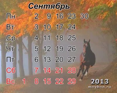 Сентябрь 2013