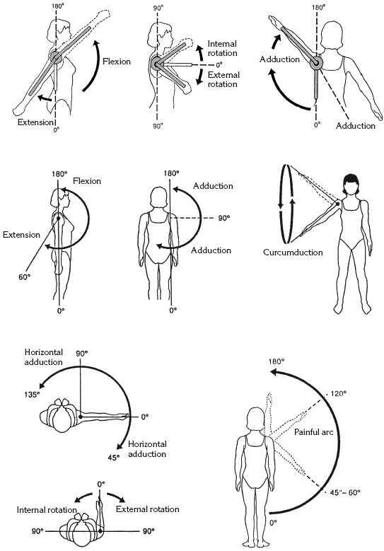 Какие движения происходят. Объем движений в плечевом суставе. Оси вращения плечевого сустава. Объем движений в плечевом суставе в градусах. Плоскости движения плечевого сустава.