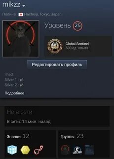 Стим 25