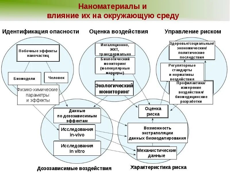 Нанотоксикология. Исследование опасности наноматериалов. Нанотоксикология картинки. Наноматериалы актуальность.