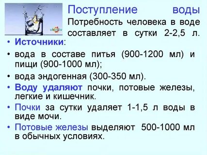 Суточная потребность в воде