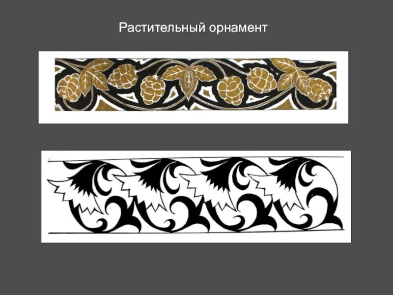 Композиция растительный орнамент. Графическая композиция. Цветочный орнамент в стиле модерн. Декоративная композиция в квадрате. Орнамент композиция.