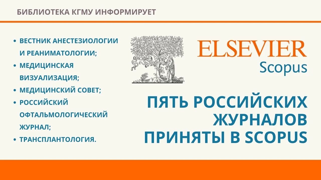 Scopus. Российские журналы скопус 2023. Scopus статьи. Перечень журналов скопус. Российские журналы скопус 2023.