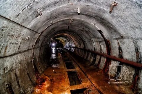Коллектор проверка