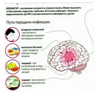 Менингит причины