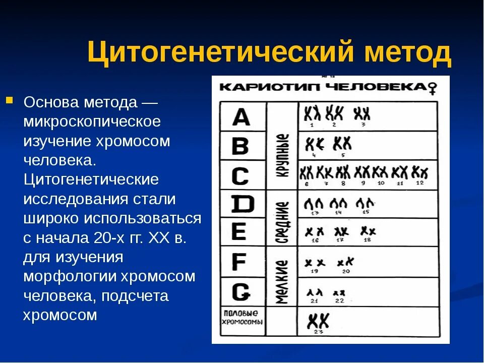 Какие методы используют для цитогенетического исследования