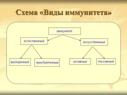 Схема виды иммунитета биология 8 класс