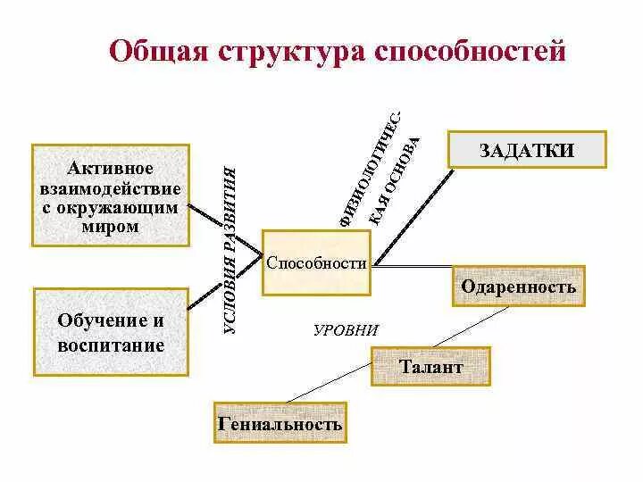 Общая структура способностей схема. Составьте схему «общая структура способностей».. Составьте схему общая структура способностей в психологии. Основные характеристики способностей в психологии. Можно выделить способности