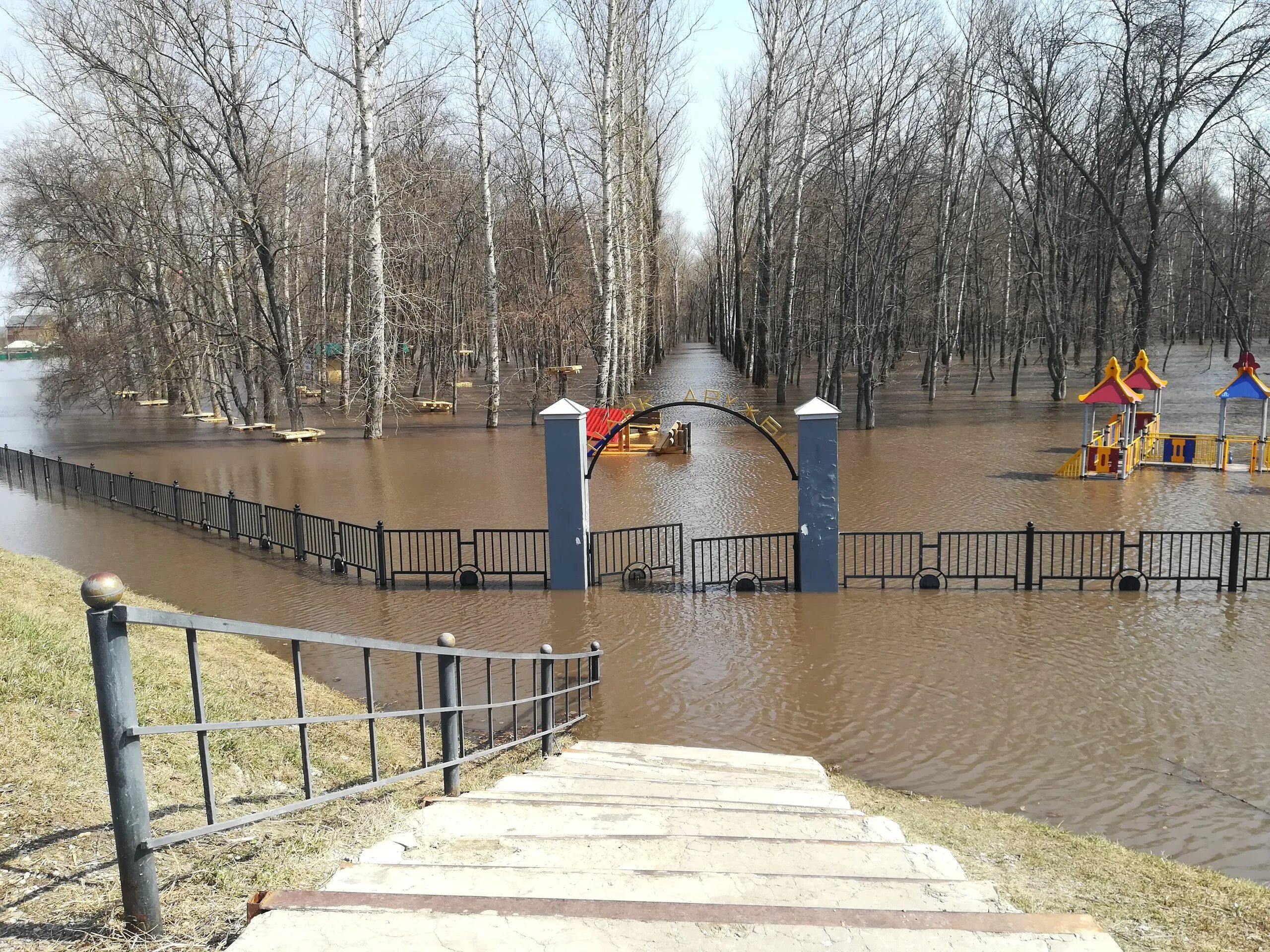 Уровень воды в тамбове сегодня. Парк дружбы Тамбов. Лесопарк Дружба Тамбов. Парк дружбы Тамбов паводок. Затопление парк дружбы Тамбов.