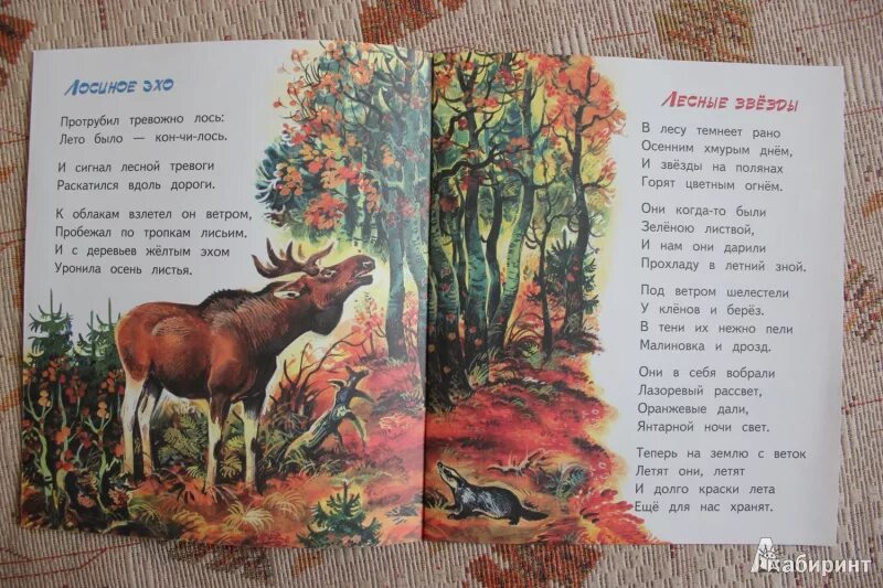 Рыжая лиса стихи. Осень рыжая лиса книга. Между елок между сосен осторожно бродит осень осень рыжая лиса. Осень лиса стихотворение. Детский стишок про лису.