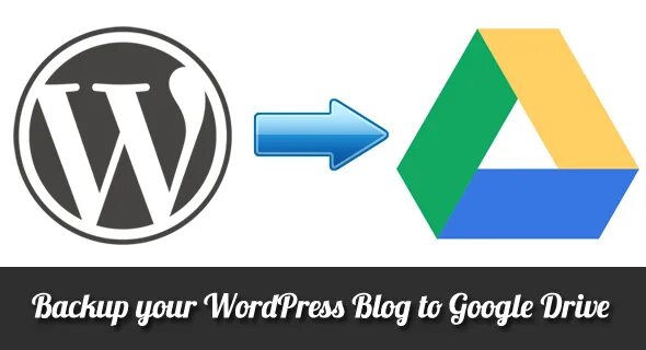 Wordpress google. Google drive. wp backup icon.