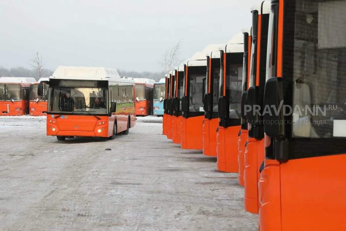 Учебный центр водитель автобуса. Школьные автобусы 2022 Новгород. Новогодний автобус Нижний Новгород. Самаркандский Автобусный 15 автопарк. 15 апреля автобусы