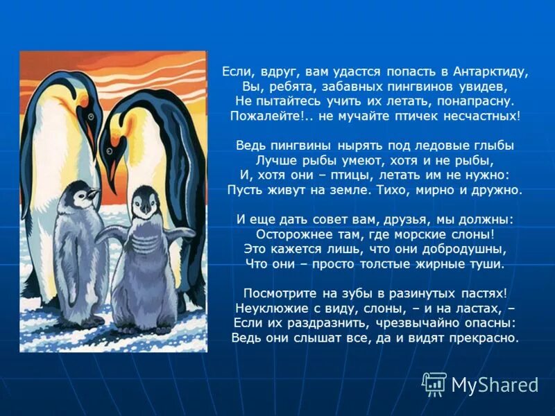Первые мореплаватели увидевшие пингвинов. Первые мореплаватели увидевшие пингвинов диктант. Первые мореплаватели увидевшие пингвинов в Антарктиде диктант 7. Диктант про Антарктиду.