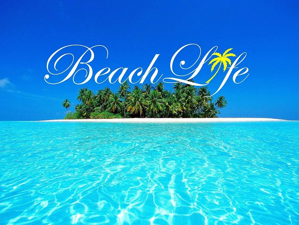 Life is beach. Life's a Beach. Beach Life logo.