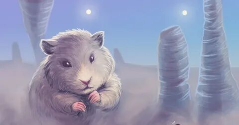 Накрутка рефов hamster