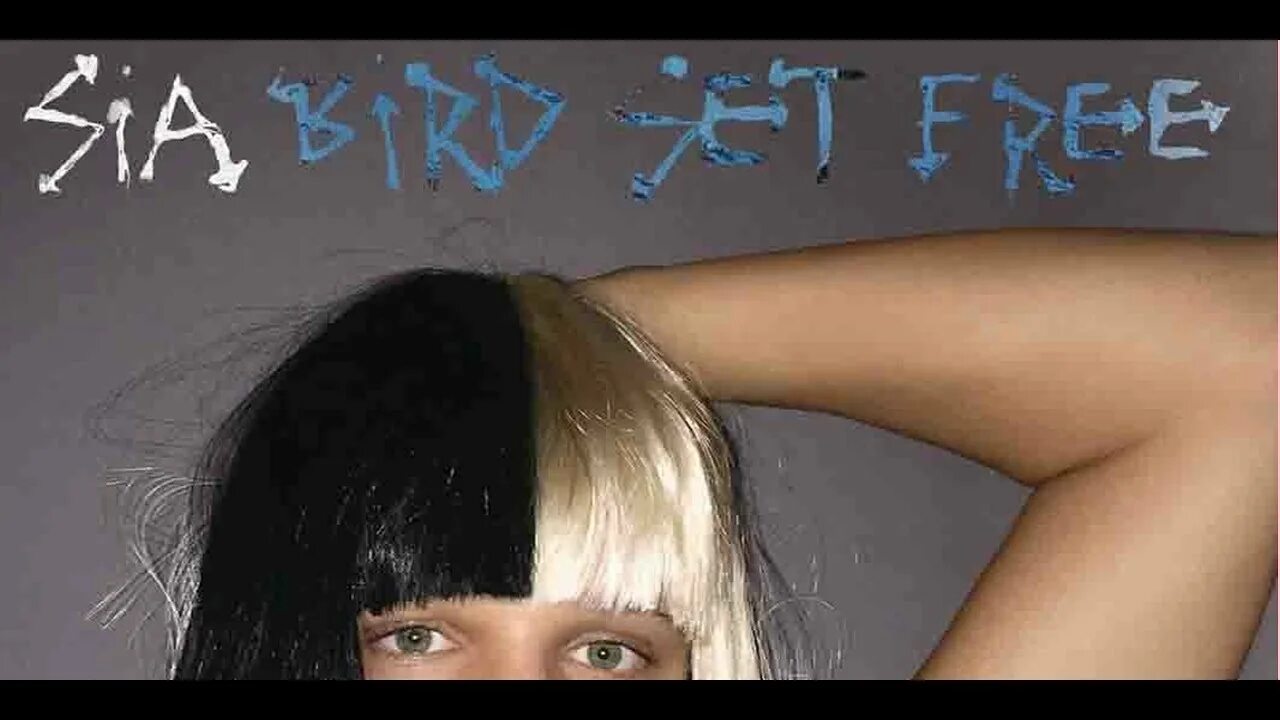 Sia bird. Sia album Cover. Clap your hands сиа.
