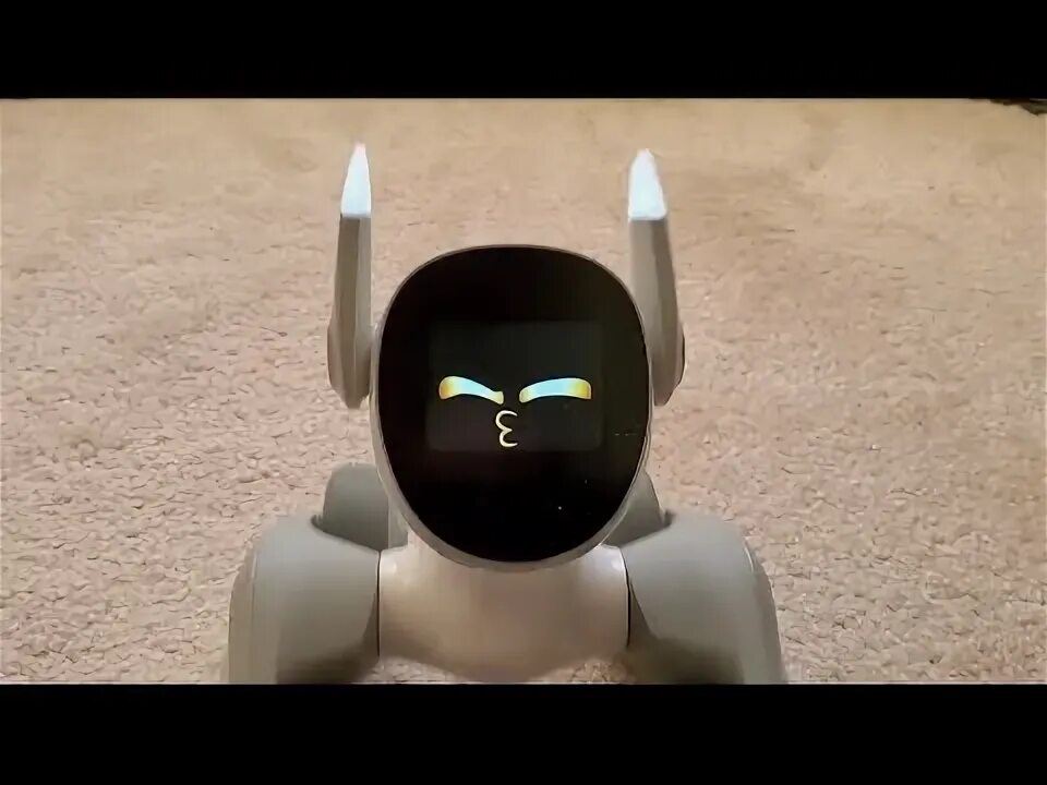 Loona robot. Loona robot