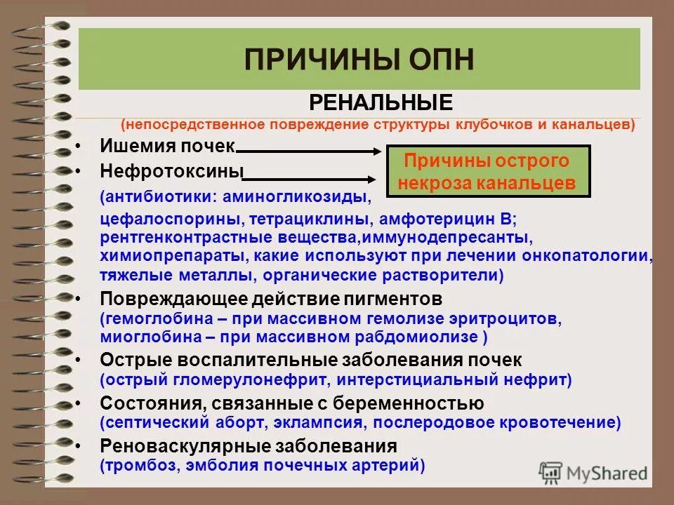 ОПН вызывают антибиотики группы:. Причины ОПН. Антибиотики вызывающие острую почечную недостаточность. ХПН патфиз. Одной из причин почечной недостаточности является