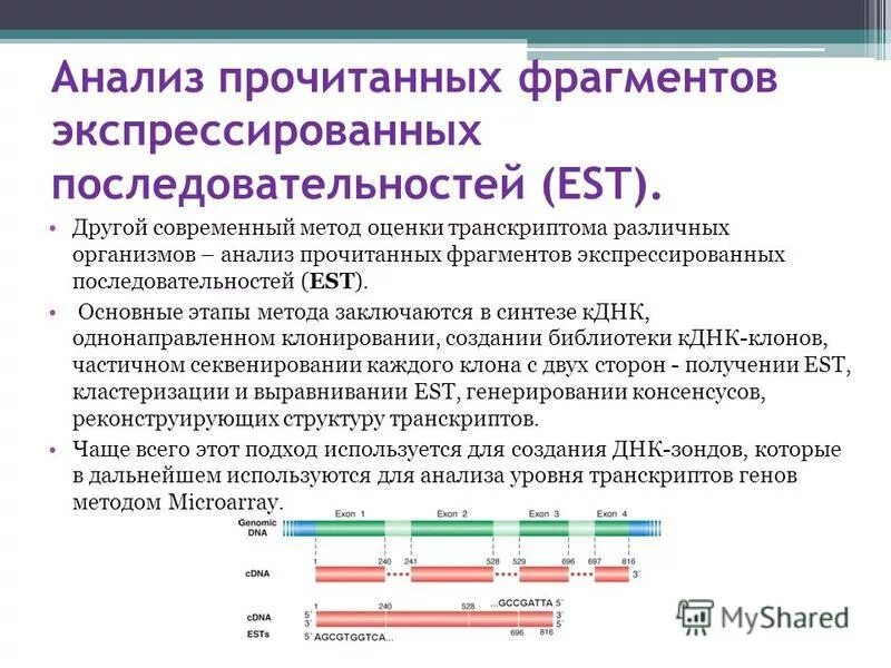 Прочитан разбор. Методы исследования транскриптома. Транскриптомика методы. Транскрипртные исследования. Транскриптомика биохимия.