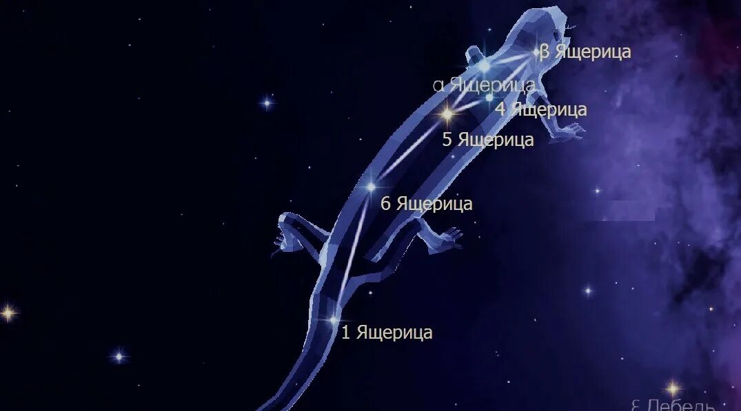Lacerta созвездие. Созвездие ящера. Lacerta созвездие. Ящерица созвездие самая яркая звезда. Lacerta созвездие.