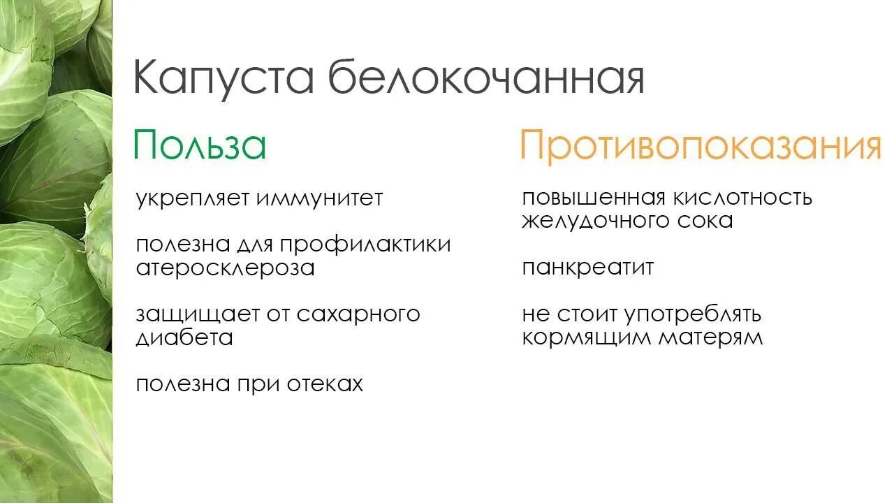 Капуста польза и вред для организма мужчины. Капуста полезные вещества. Полезные вещества в капусте белокочанной. Полезные свойства капусты. Витамины в капусте белокочанной.