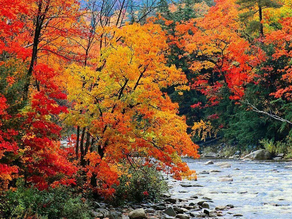 Картинка времена года осень. Осень. Природа осень. Природа осенью. Сентябрь природа.