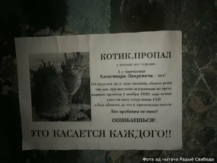 Объявление о пропаже