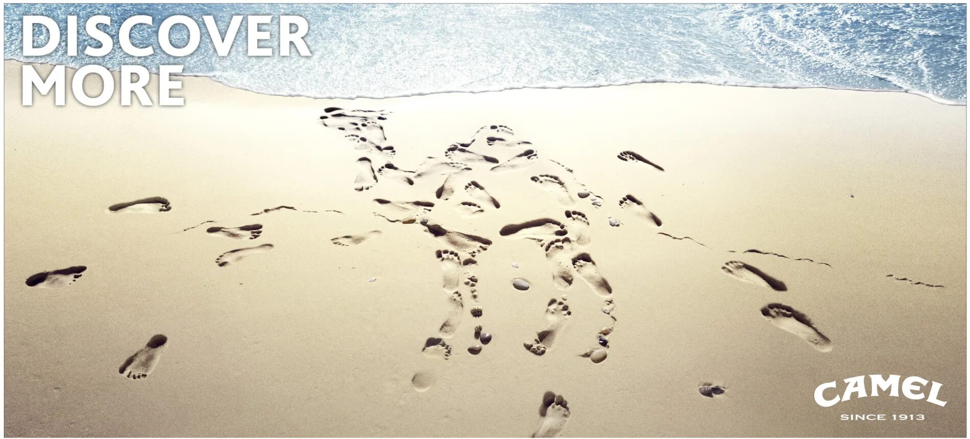 Discovery more. Discovery more. Биг бон дискавери. Discovery more. Discovery more.