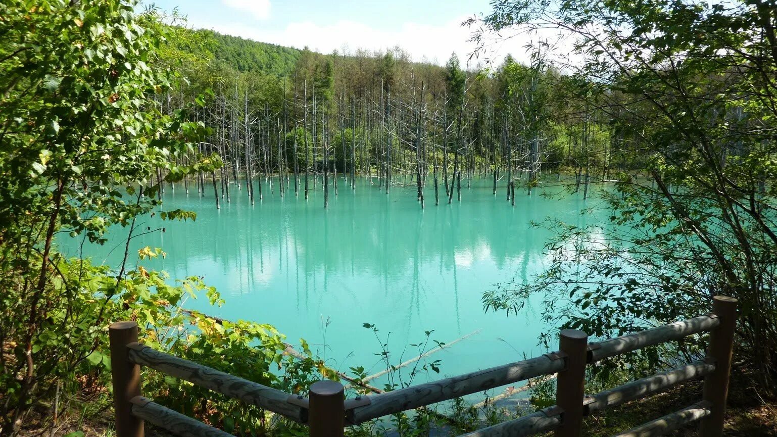 Дома голубое озеро. Голубые озера Славяногорск. Голубое озеро Хоккайдо. Есино голубое озеро. Тино Япония озеро.