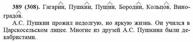 русский язык 6 класс 389. русский язык 7 класс упражнение 389. гдз по русскому языку 6 класс бунеева. гдз по русскому языку 6 класс упражнение 389. русский язык упражнение 390.