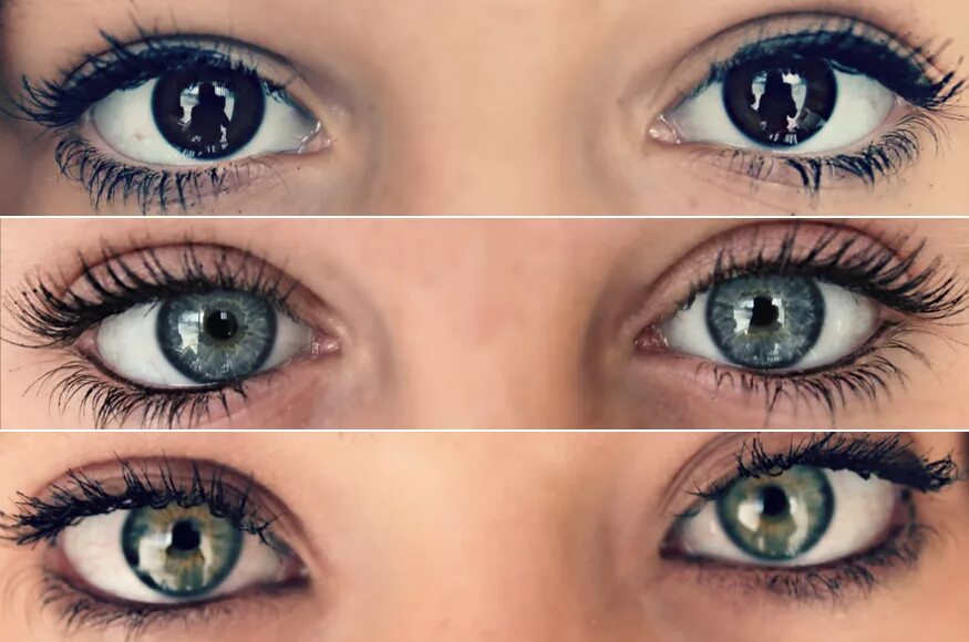 Глаза разных цветов. Цвет глаз hazel eyes. Цвет глаз. Может ли цвет глаз меняться от настроения. Глаза хамелеон у человека.