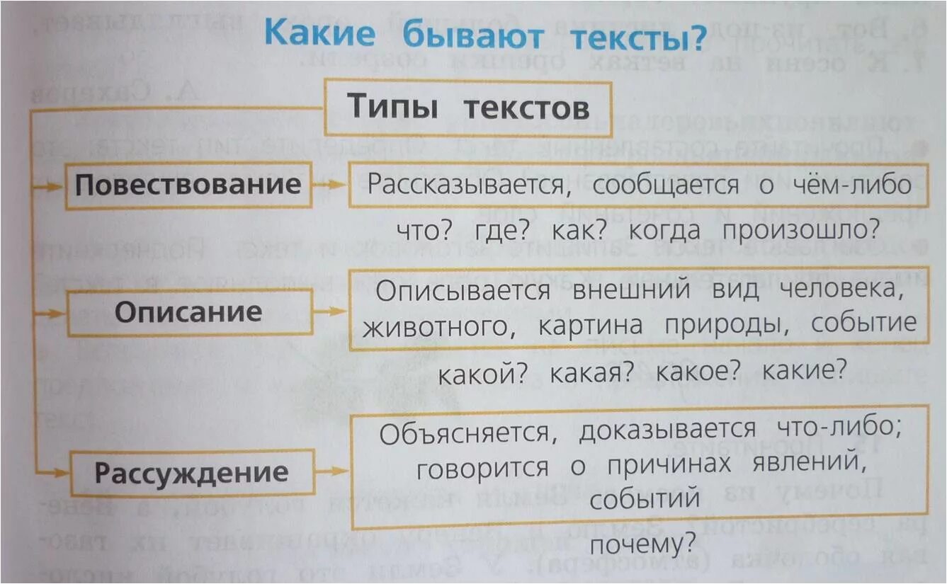 Какие бывают типы текста