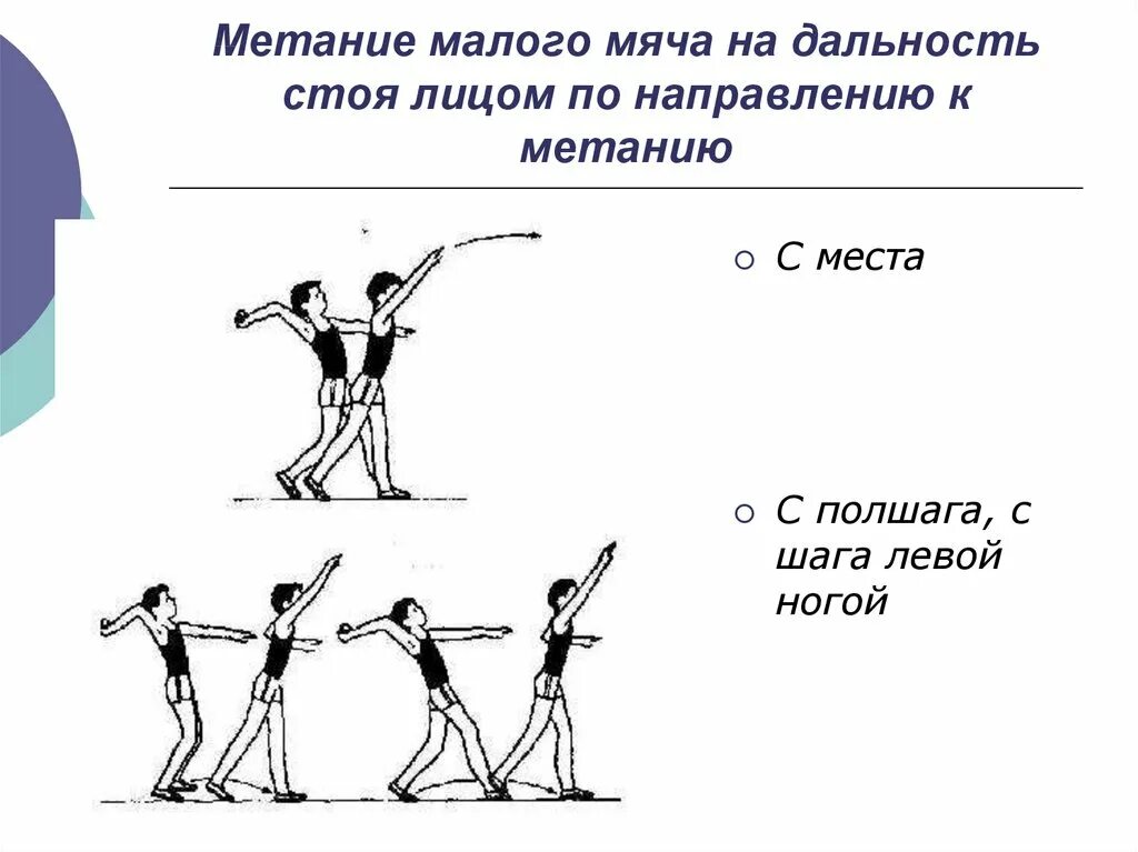 Методика обучения метаниям. Техника метания мяча в цель и на дальность. Технику метания мяча на дальность с места.. Техника методики метания малого мяча на дальность. Техника метания мяча в цель с места.