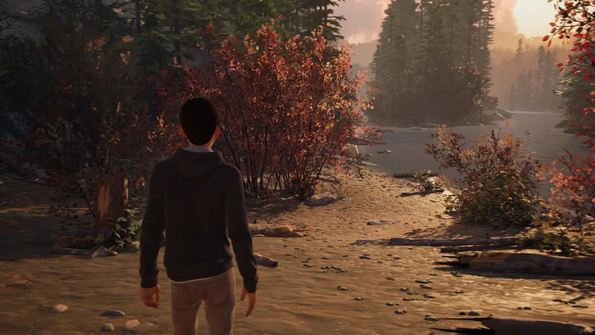 Life in strange 2. Life is Strange 2 Броуди. Шон Диас Life is Strange 2. Life is Strange 2 дом бабушки и дедушки. Life is Strange 2 locations.