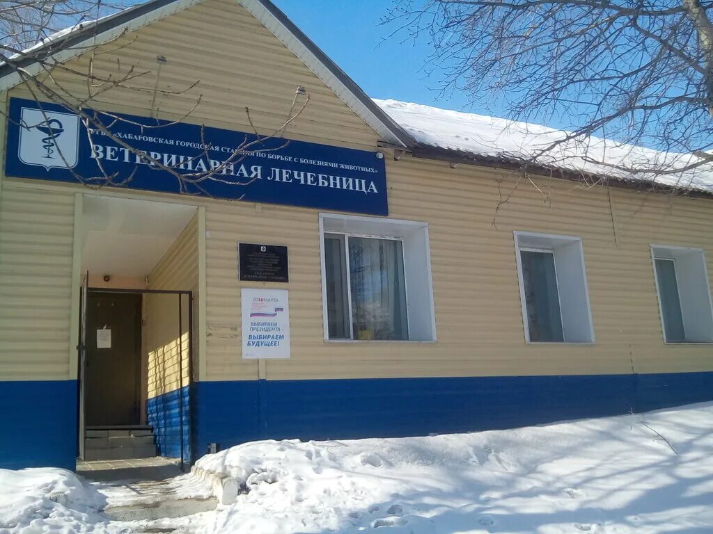 ветеринарная клиника кирова 19 старая купавна. вита клиник хабаровск. аптека краснореченская 177 хабаровск. юнивет хабаровск. телефон ветеринарной клиники хабаровска.