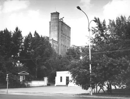 Новосибирский элеватор