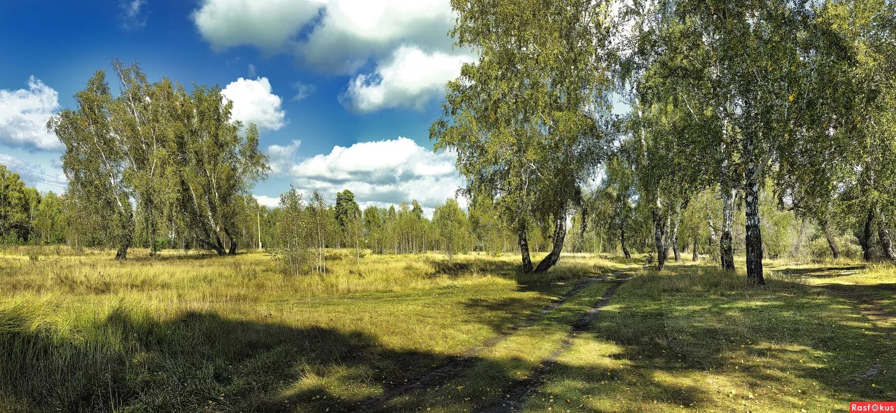 Курган природа зауралья курганская область. Курган природа зауралья курганская область. Родной край курган. Фотоконкурс природа родного края. Зауралье курганская область.