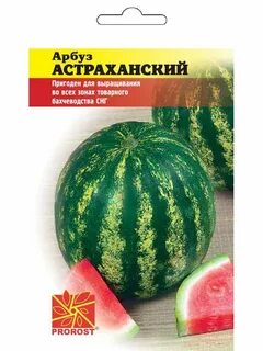 Арбуз астраханский описание сорта
