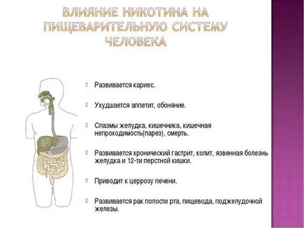 Желудка сигарет